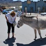Laughlin_0232 (April 21, 2013)